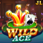 Wild Ace bmwcasino slot